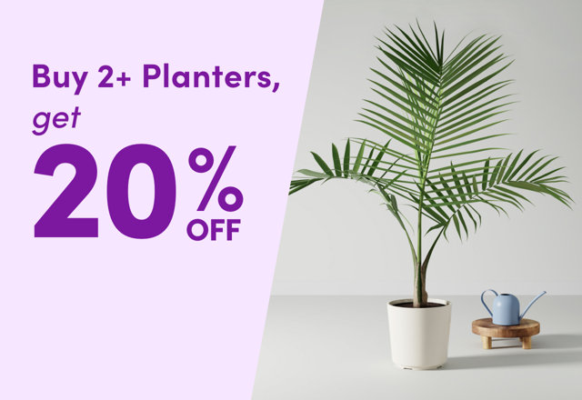 Buy 2+ Planters, Get 20% OFF