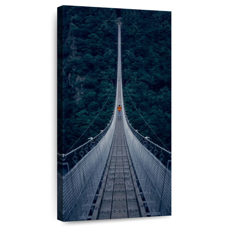 Pont suspendu Geierlay, H 48 po x l 24 po