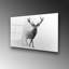 Boze Print on Glass