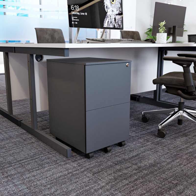 Kylann 15.35'' Wide 2 -Drawer Mobile File Cabinet, Black