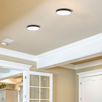 Black LED Edgeless Flush Mount