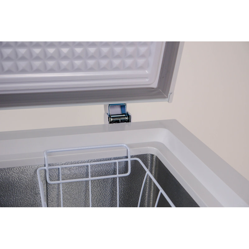 Frigidaire 10.0 Cu. Ft. Chest Freezer, White