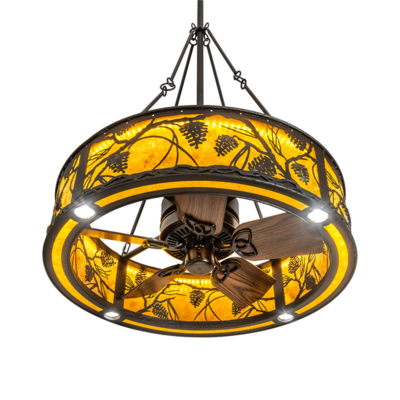 Jaems 30'' Ceiling Fan with LED Lights