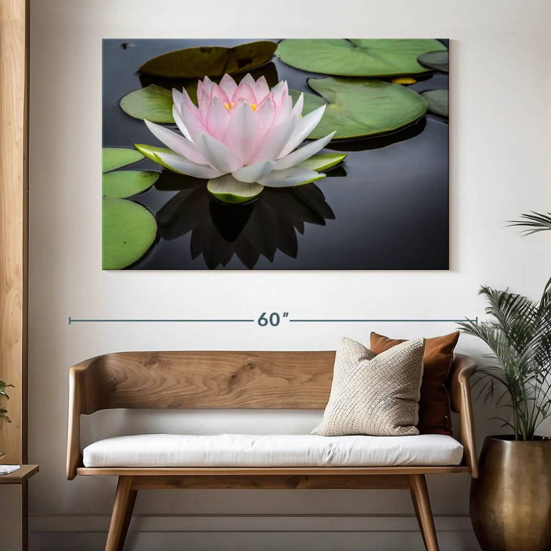 Lotus blanc rosé Harnek, H 34 po x l 51 po