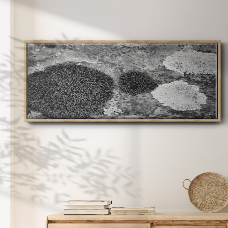 Found Textures XIX- Framed Canvas, 24" H x 60" W