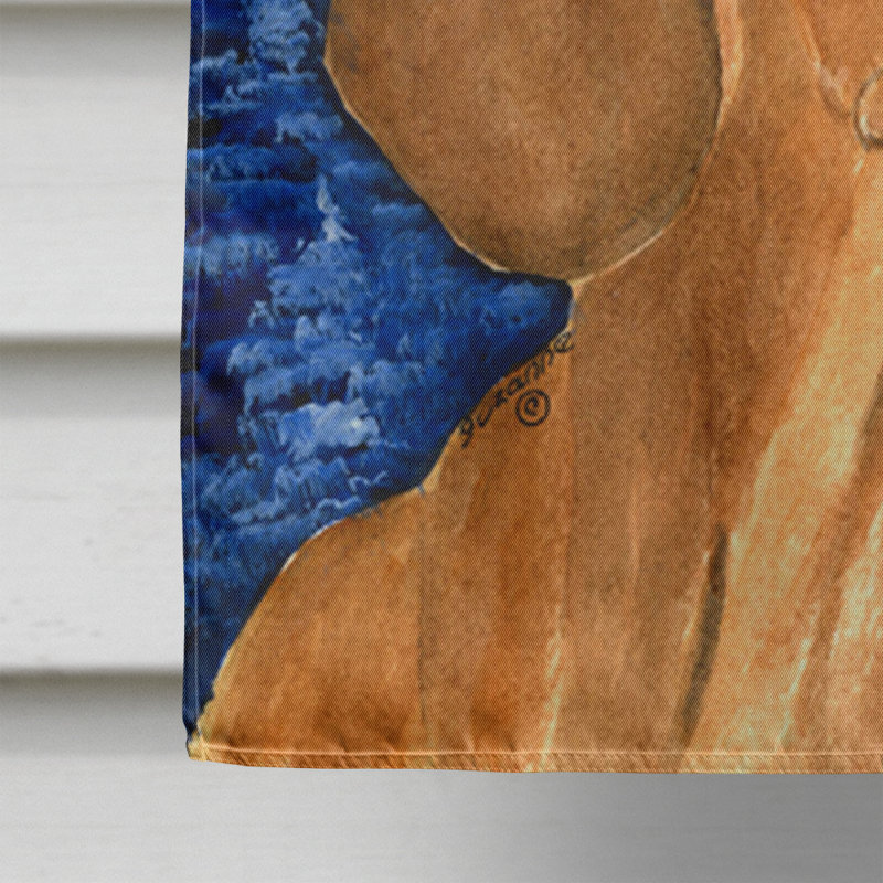 Starry night teckel 40 x 28 po en polyester à 2 côtés drapeau maison
