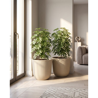Set of 2 Plant Pots DRABA 44 cm Beige