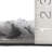 Nautica Taza Machine Washable Puffy Shag Rugs-1634714411