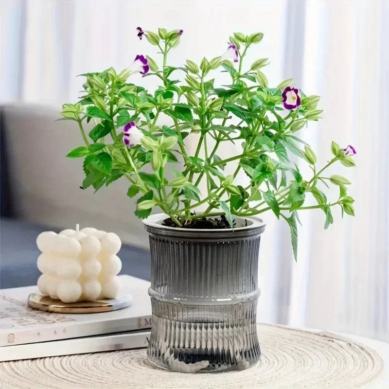 Pot à fleurs hydroponique à arrosage automatique, Gris