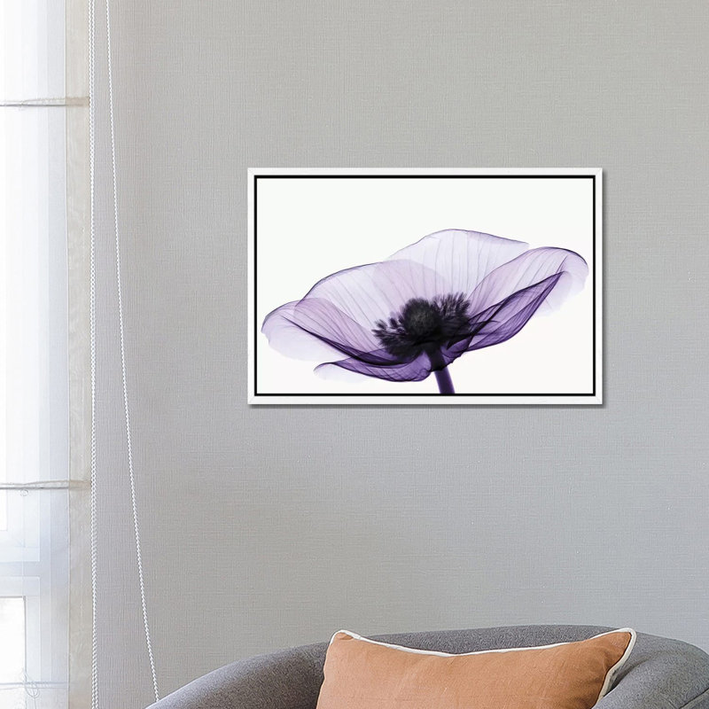 Anemone II - Print on Canvas, 66.04 cm H x 45.72 cm W x 4.445 cm D, White Floater Framed