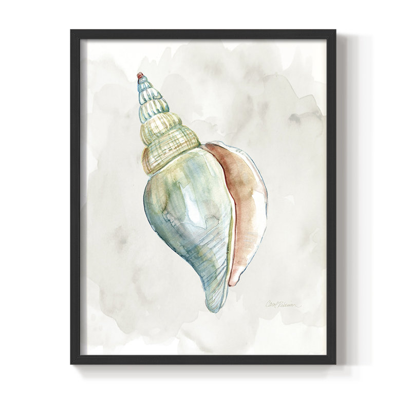 «Pastel Shell II», reproduction encadrée - bois massif, Noir, H 14 po x l 11 po