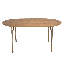 Arpita Oval Solid Wood Top Metal Base Dining Table-1305125003