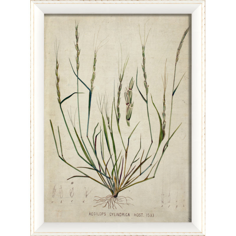 " Botanical ", White