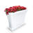 Bordeaux Resin Trough Planter-1624158520