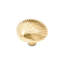 CK Series Knob-12829605