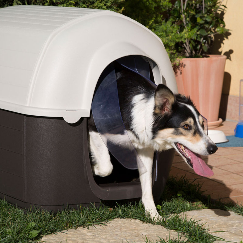 Pet Crate, 70.5cm H x 100.6cm W x 70cm D