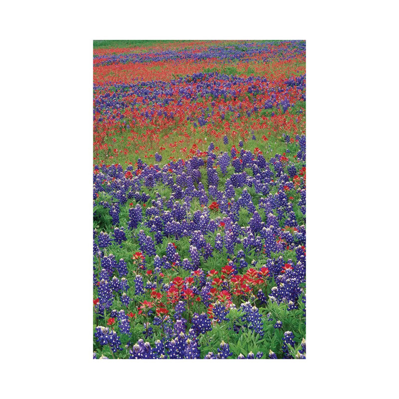 Sand Bluebonnet And Paintbrush Flowers, Hill Country, Texas III by Tim Fitzharris - Wrapped Canvas Print