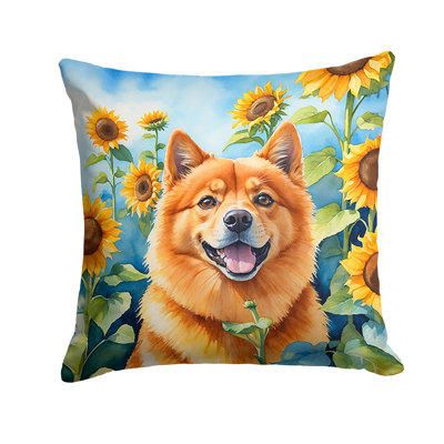 Outdoor Throw Pillow