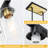 5 - Light Kitchen Island Pendant Light with Clear Glass Shade