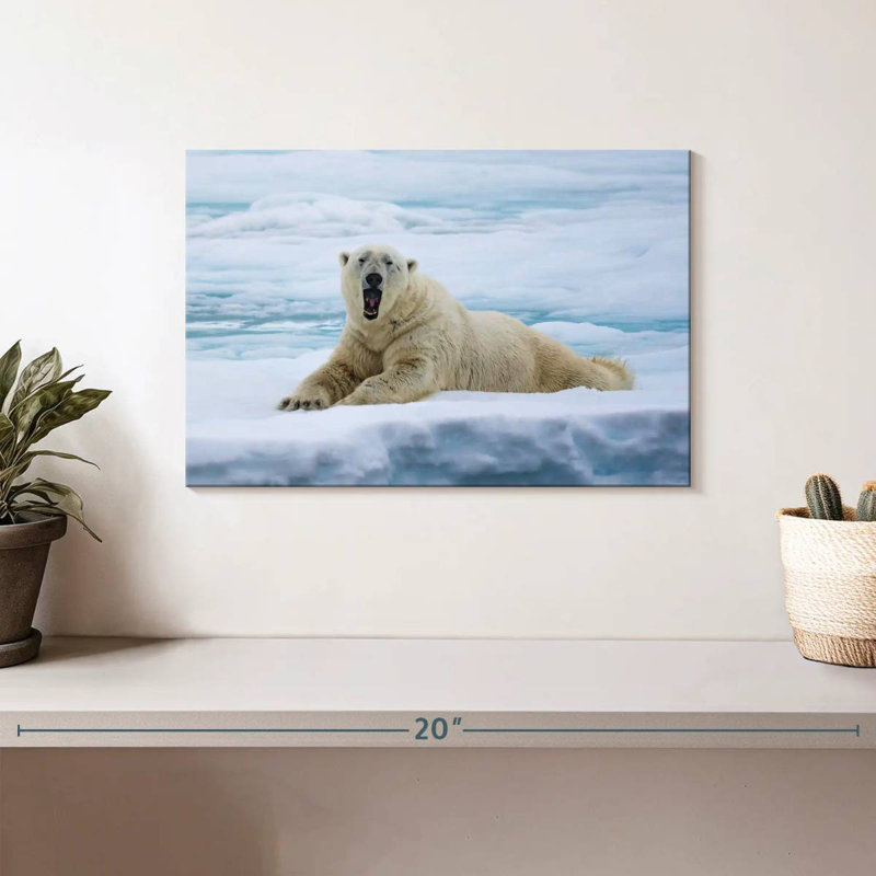 L'ours polaire se réveille, H 8 po x l 12 po