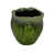 Green est en rupture de stock
