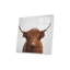 Impression de vache Highland sur verre acrylique-1039832635