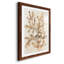 Parchment Coral I - ensemble de 3 reproductions de cadres photo-207375875-207375872