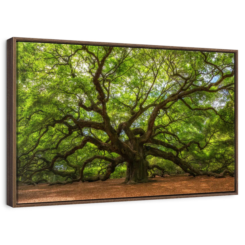 Oak, 25" X 17", Floating Frame Walnut