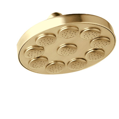 Raincan Shower Head