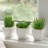 Mini Faux Spike Succulent in Ceramic Pot