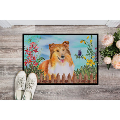 Non-Slip Outdoor Doormat