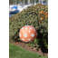 Lanterne solaire 12 po Stella-108587241