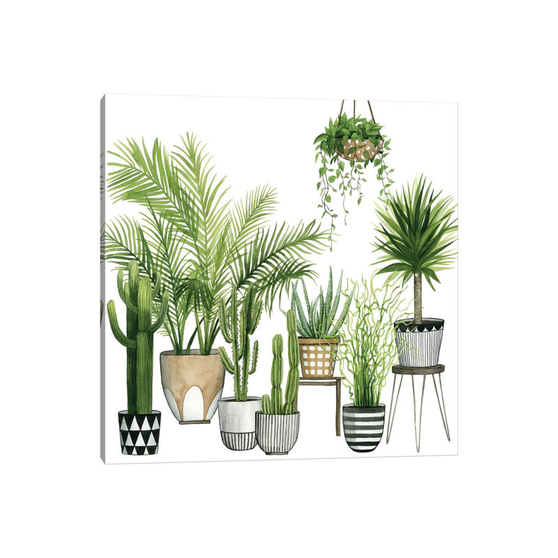 Plant Haven II by Grace Popp - Wrapped Canvas Print, 45.72 cm H x 45.72 cm W x 3.175 cm D