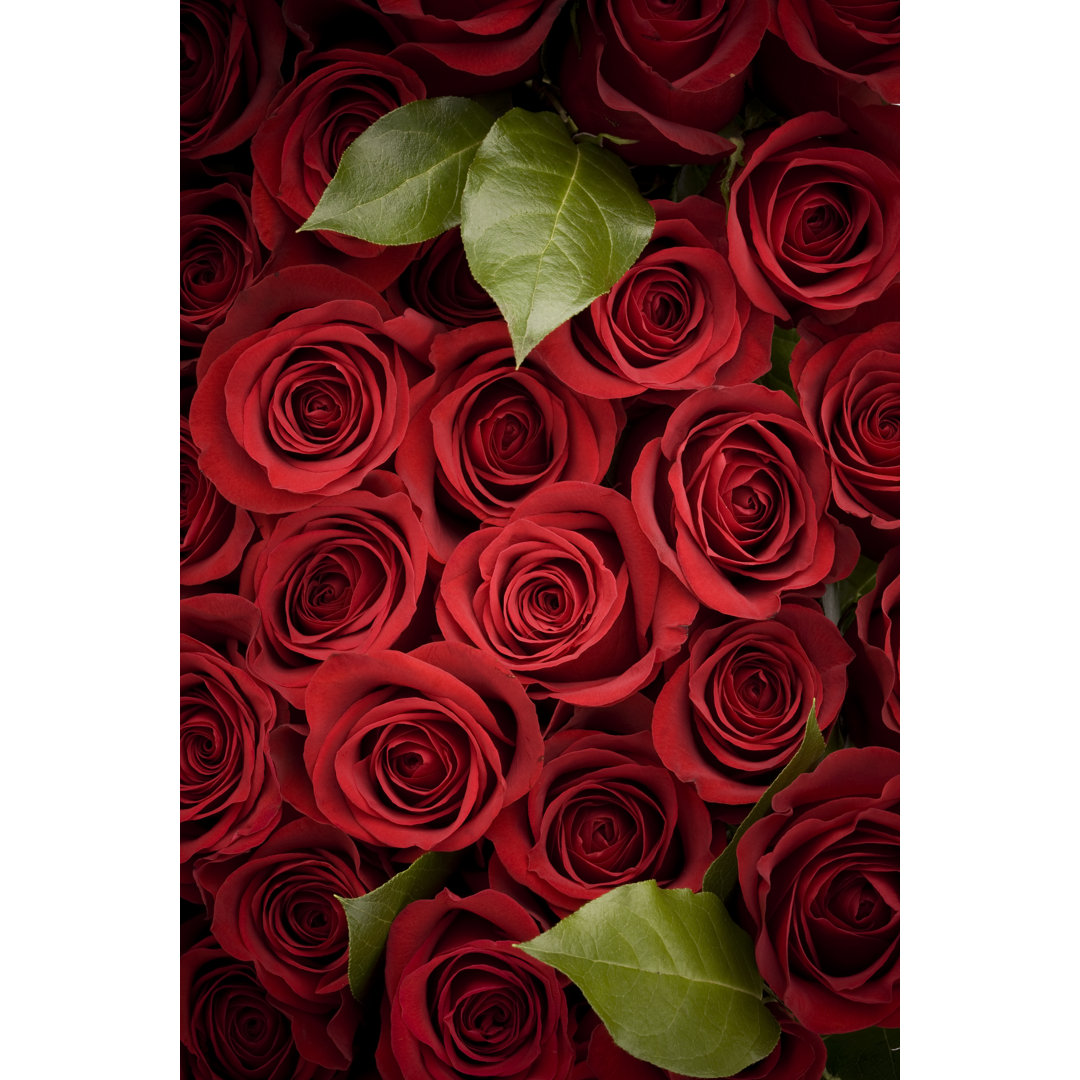 Glasbild Roses