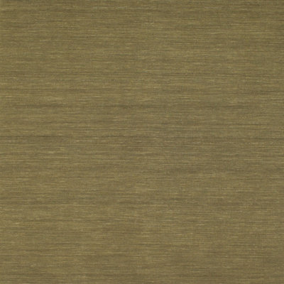 Indoor Rug