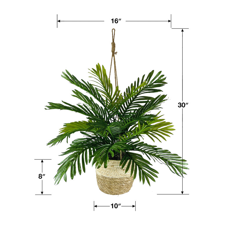 Palmier artificiel en panier Johnson, H 30 po x l 16 po x P 16 po, Crème / brun