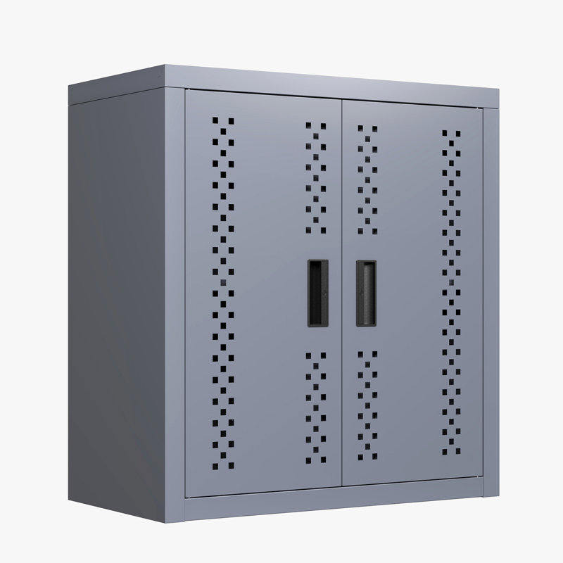 Armoire de garage en métal avec porte, armoire de rangement murale, armoire à outils flottante pour sous-sols, cuisines et entrepôts (H 13,77 po)