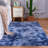 Shahen Abstract Indoor Rug-405845006