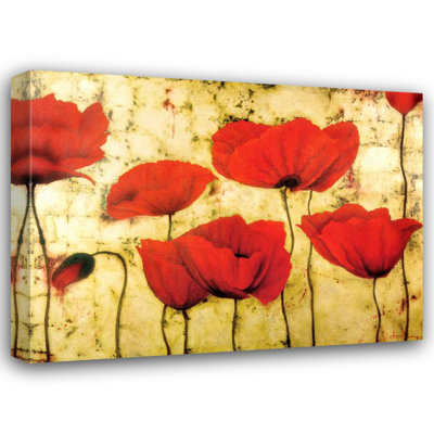 Coquelicots II