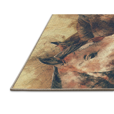 Indoor Rug