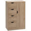 Armoire de rangement autoportante avec 4 tiroirs et porte-860606875