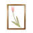 Honey Oak Frame is unavailable