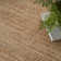 Gerri Solid Color Flatweave Area Rug in Tan