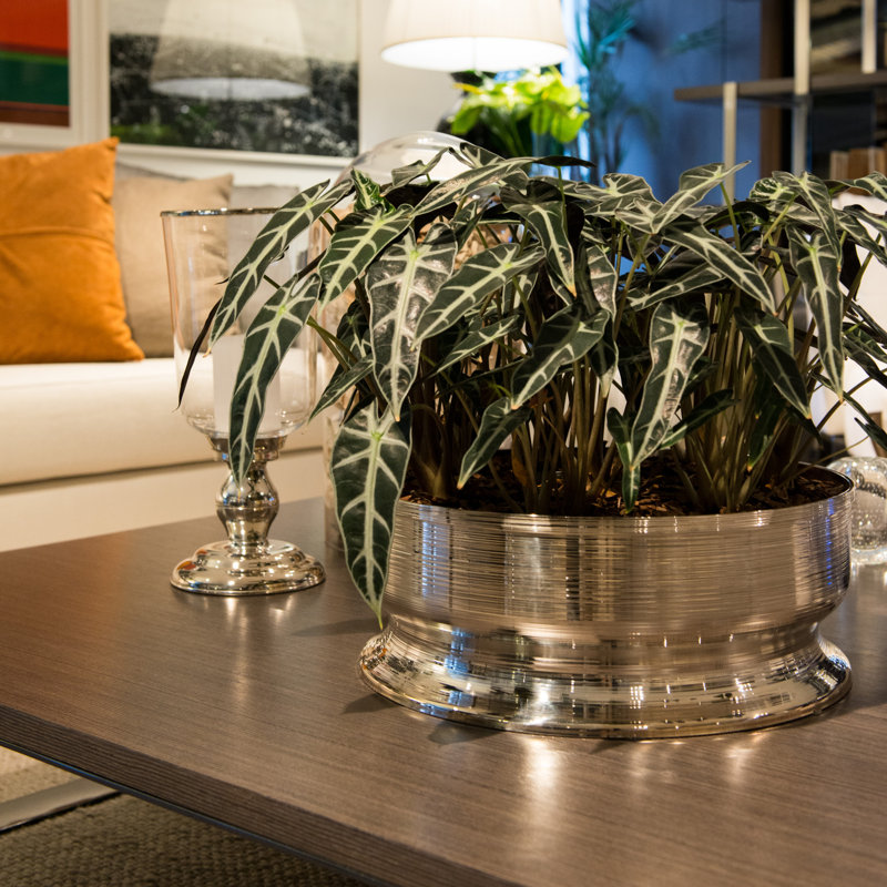 Vasos E Centros De Mesa Metal Planter, 16" H x 16" W x 6" D