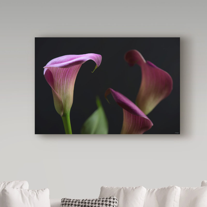 «Three Lilies» par Slauson, reproduction de photo sur toile tendue, H 12 po x l 19 po x P 2 po
