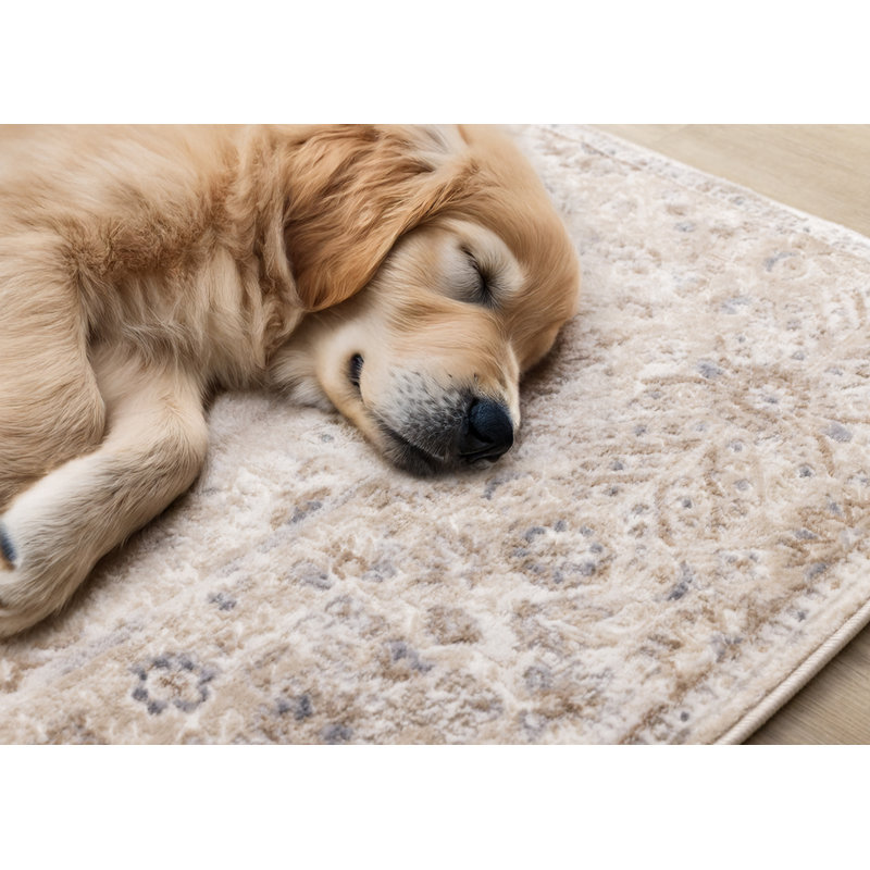Tapis tissé classique élégant ivoire oriental beige, Rectangle 5 pi 3 po x 7 pi 7 po