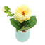 Peony in Ceramic Vase