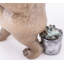 Animals Figurines & Sculptures