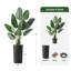 Arbre artificiel en pot, faux oiseau de paradis en soie, décoration de la maison (pot et arbre)-1741763280-1726828201