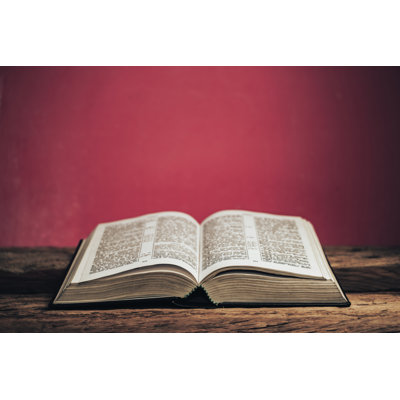 Open Bible 1 Piece Wrapped Canvas Wall Art
